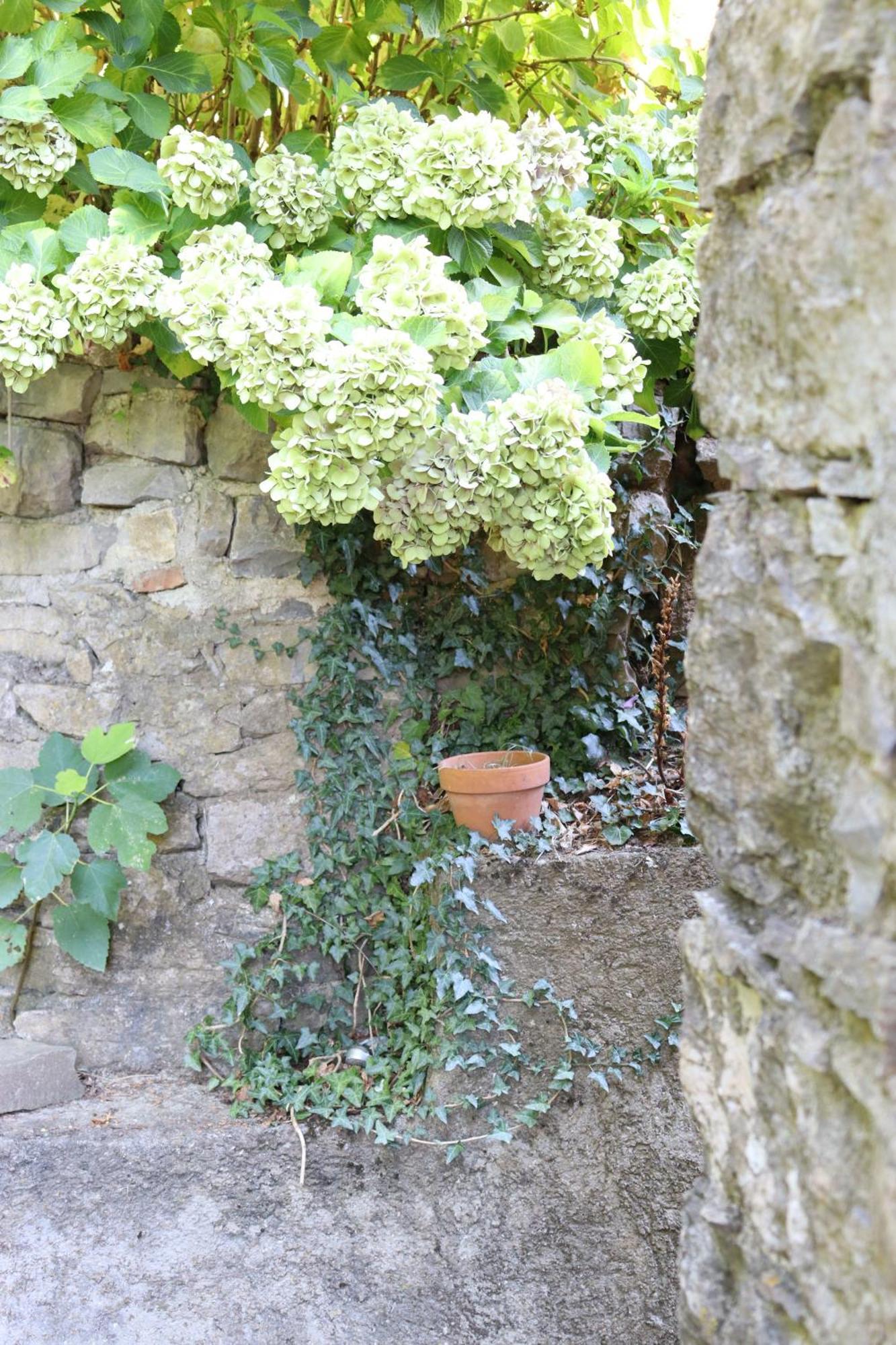 Carpe Diem Colognora Villa Vetriano Exterior foto