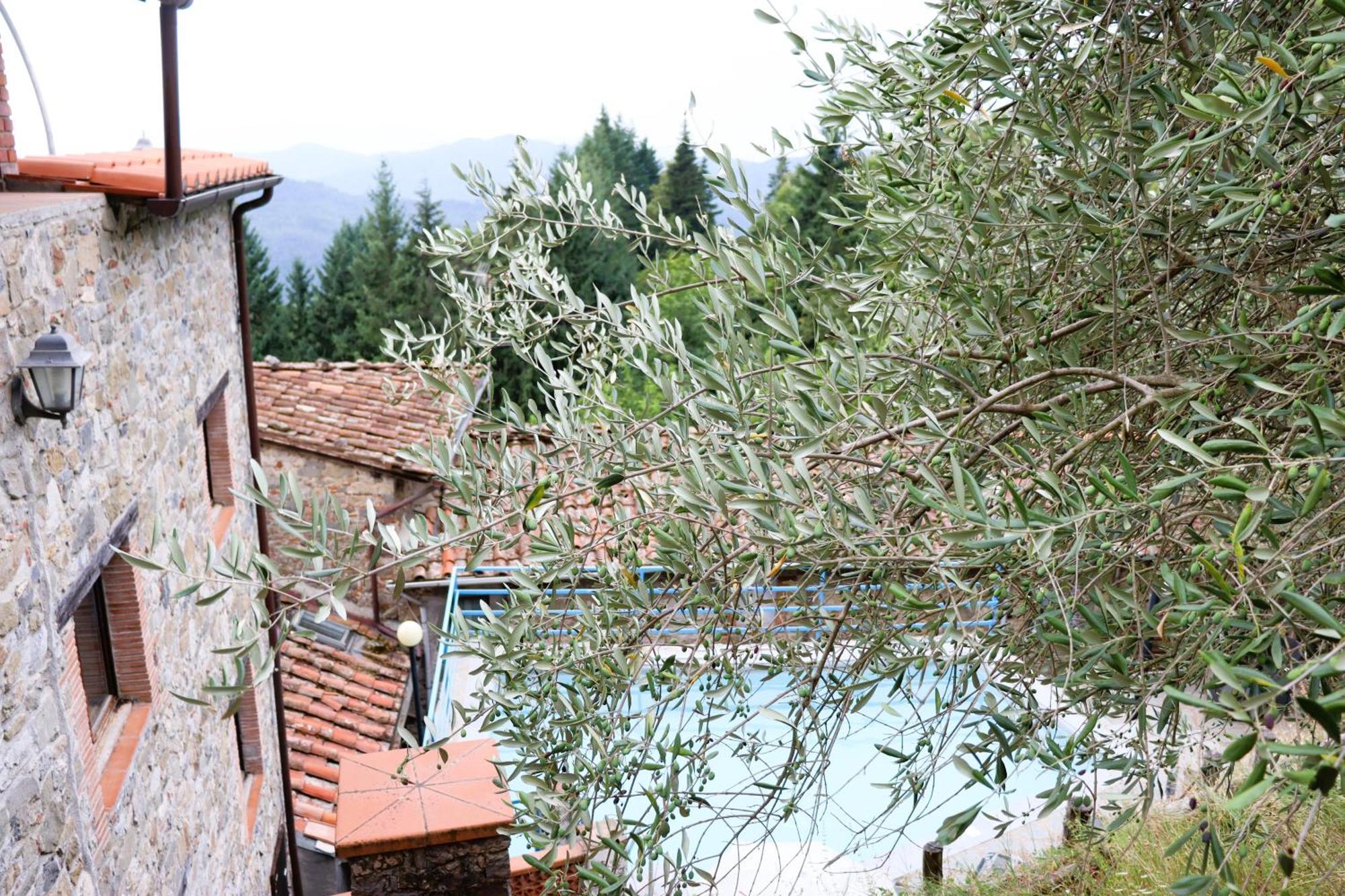 Carpe Diem Colognora Villa Vetriano Exterior foto